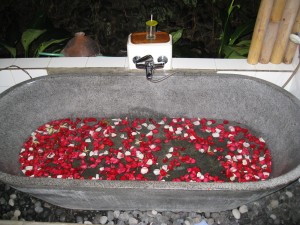Flower Bath
