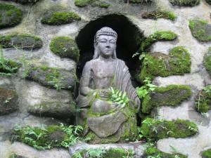 Buddha in the Nook
