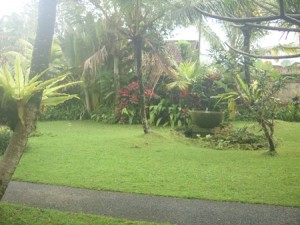 Dreamy villa garden on overcast day